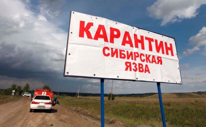 Как защититься от сибирской язвы: важные правила для фермеров