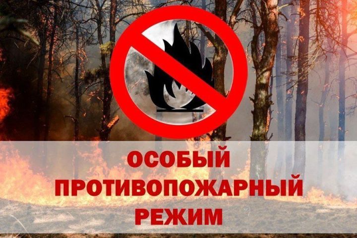 В Татарстане введён режим высокой пожарной опасности лесов