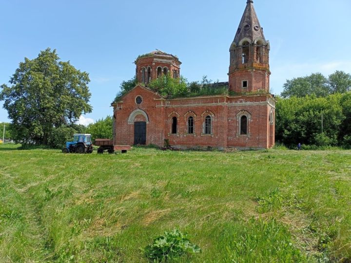Жители Красной Слободы спасли старинную церковь от разрушительных зарослей