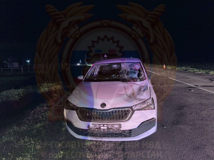 В Тетюшском районе Татарстана пассажир мотоблока погиб после наезда иномарки