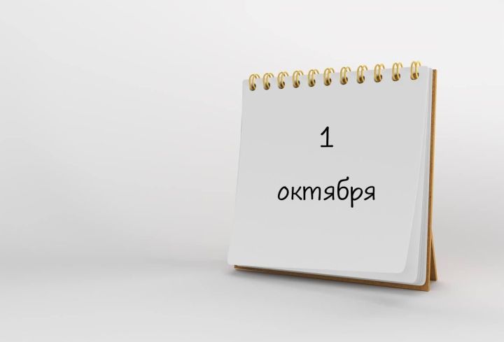 Татарстанда 170 меңнән артык кеше социаль хезмәтләр җыелмасын натураль формада ала