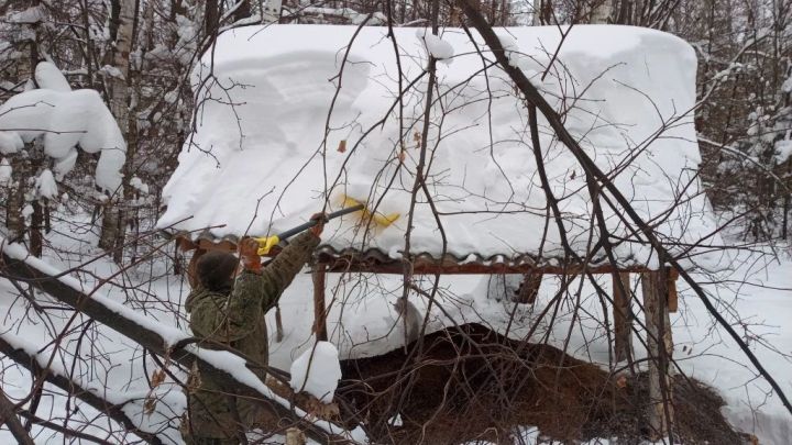 В Спасском районе диким животным помогают пережить аномально снежную зиму