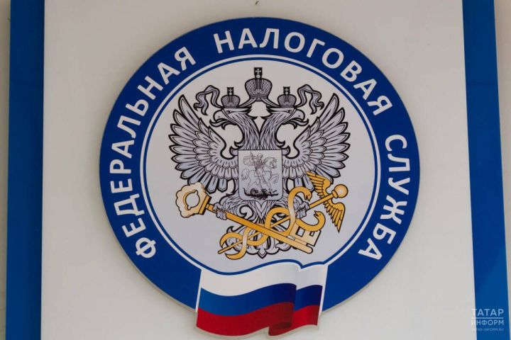 ФНС предупредила: согласие стать «директором на бумаге» грозит тюрьмой и миллионными штрафами