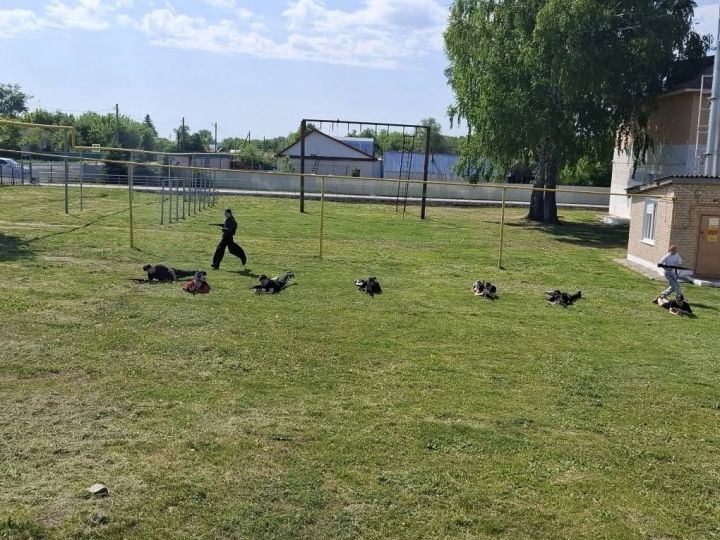 Восьмиклассники Спасского района прошли трёхдневные военно-полевые сборы