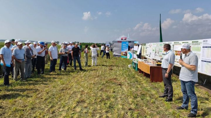 Делегация Спасского района приняла участие в зональном семинаре по вопросам урожая в Чистополе