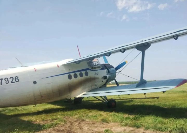 В Спасском районе начали авиаобработку подсолнечника