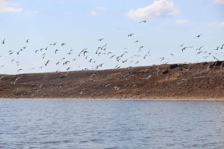 Скауты со всей России увидели природу заказника «Спасский» с воды