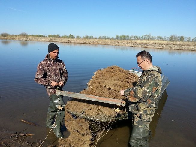 Балык ресурслары тулылана