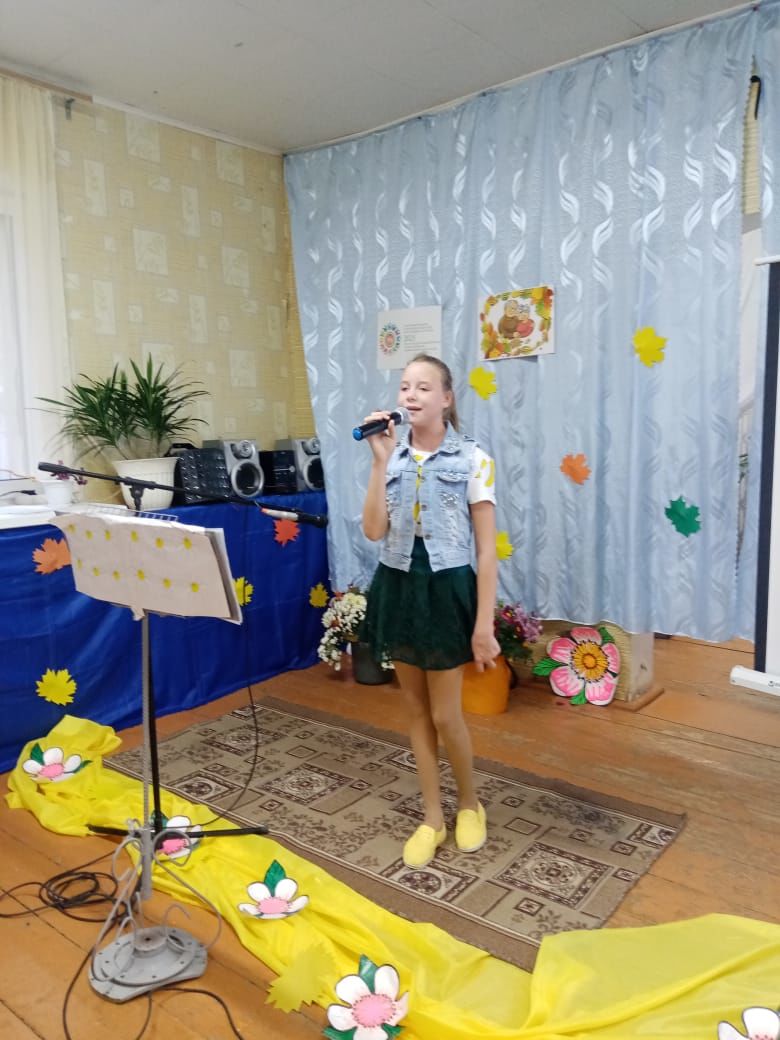 В Приволжском сельском поселении прошёл праздничный концерт