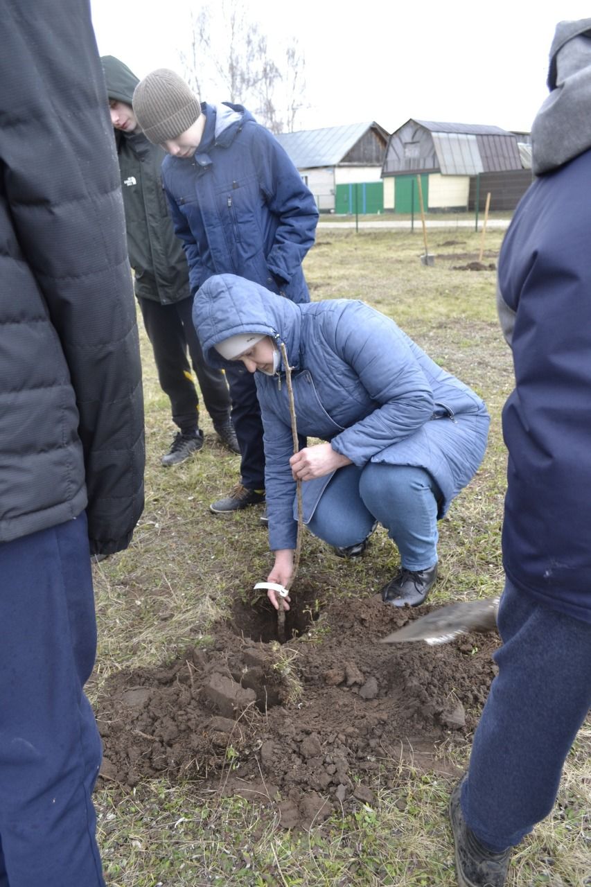 В Болгарской школе-интернат для детей с ОВЗ скоро вырастет новый сад