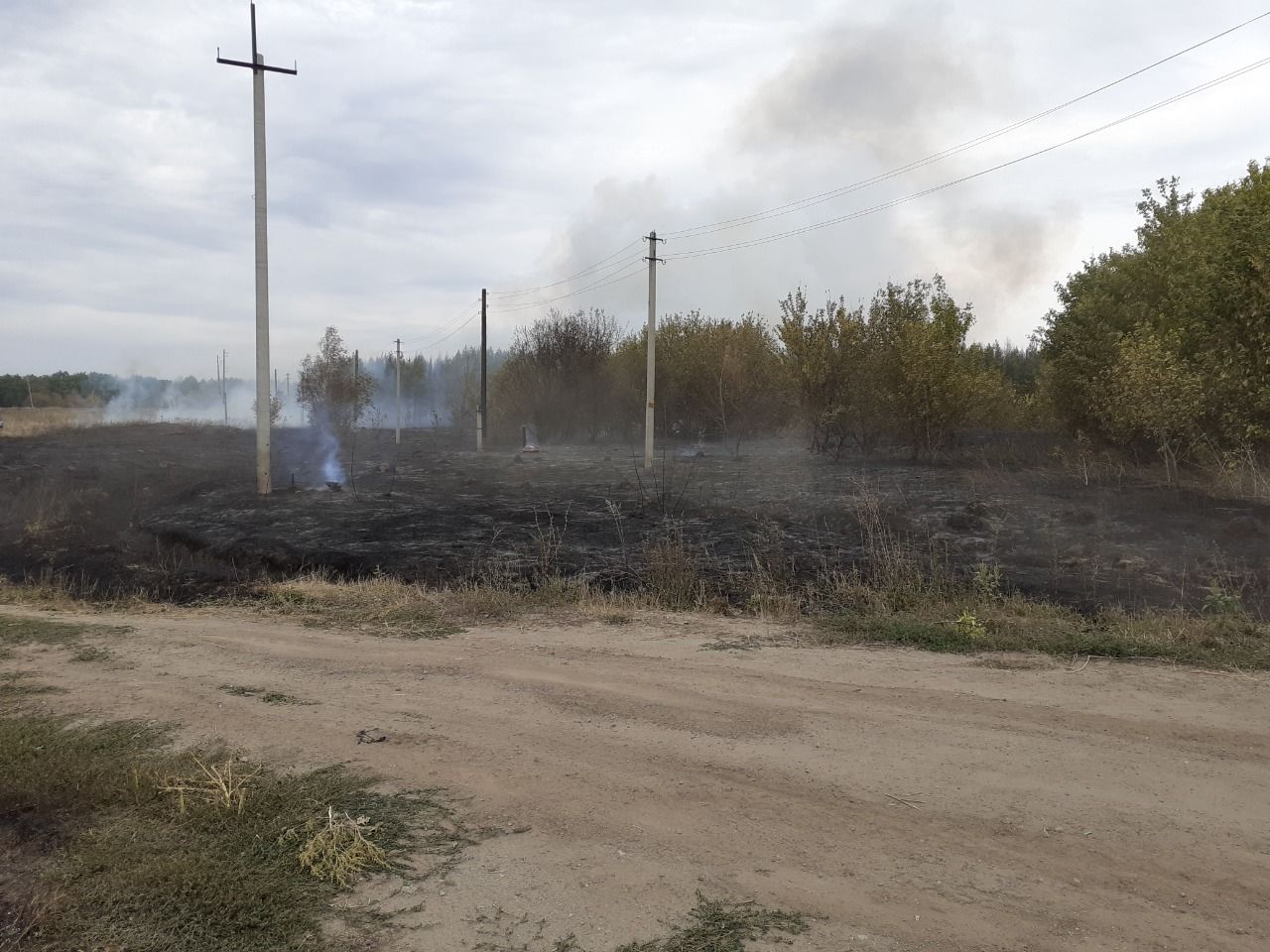 В Спасском районе возле деревни Фадеевка случился пожар