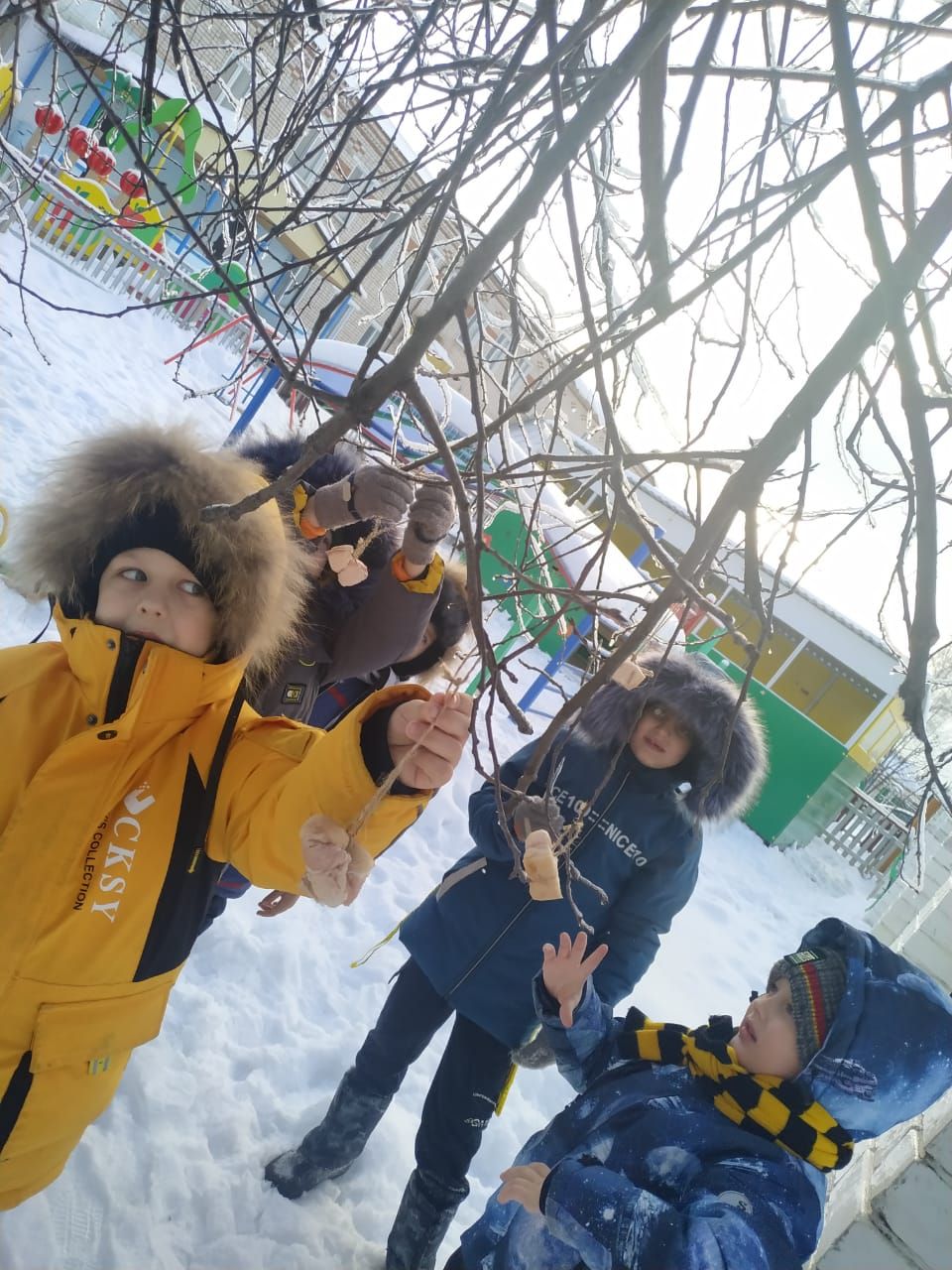 Воспитанники детского сада «Теремок» организовали подкормку для пернатых друзей