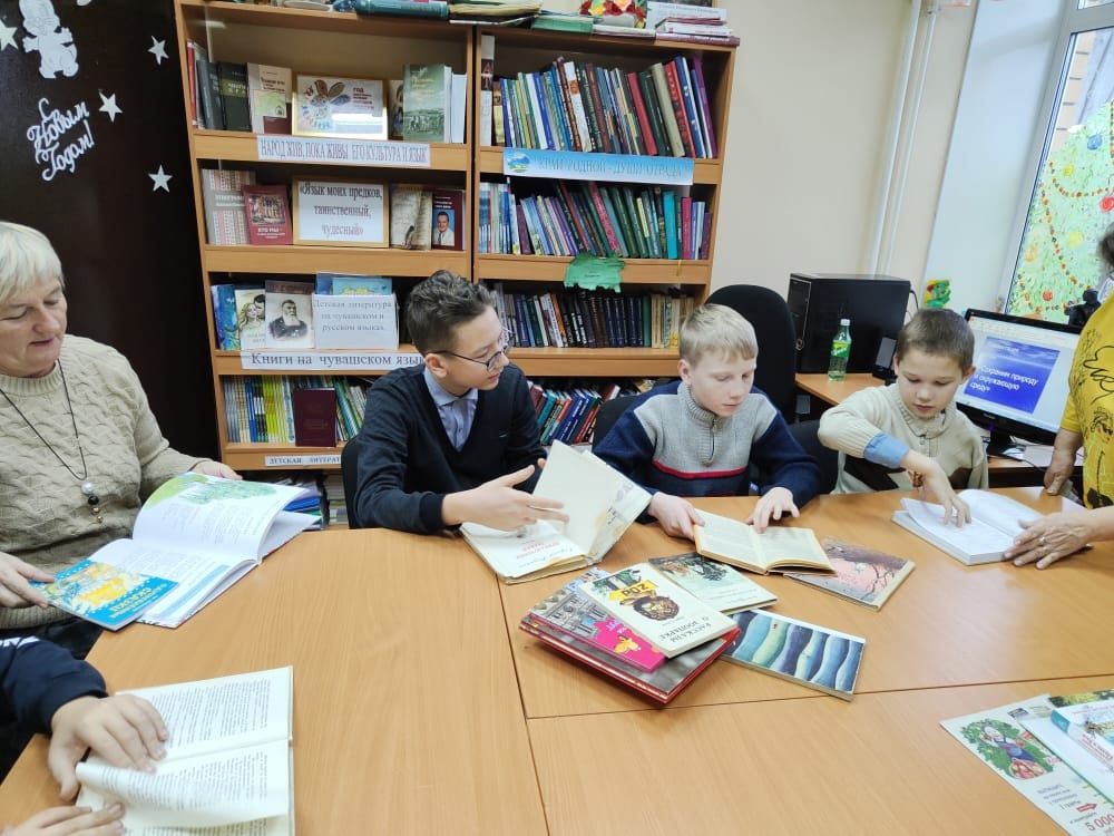 В Иж-Борискинской библиотеке проведён час защиты Земли