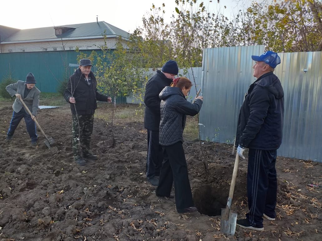 В Спасском доме-интернат разбили фруктовый сад