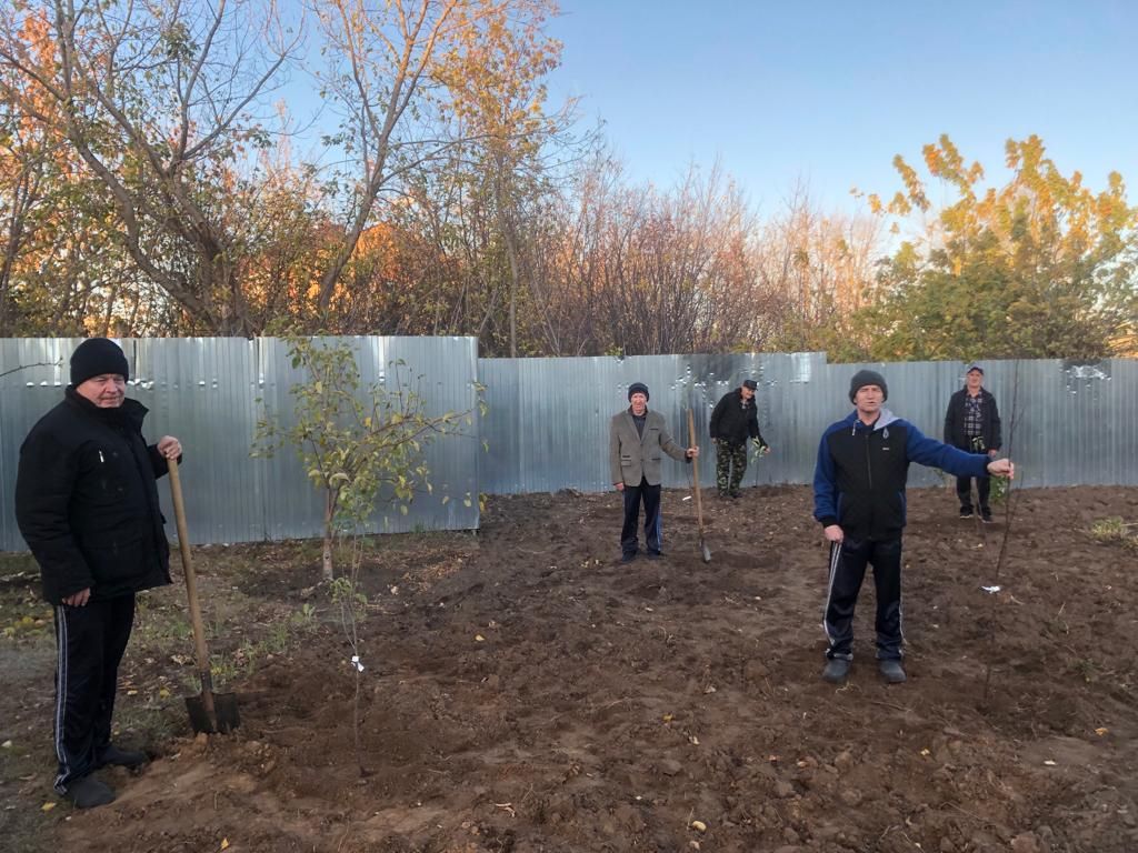 В Спасском доме-интернат разбили фруктовый сад