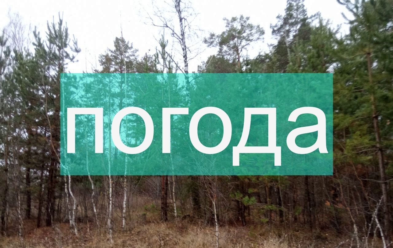 Погода на вторник 14 ноября
