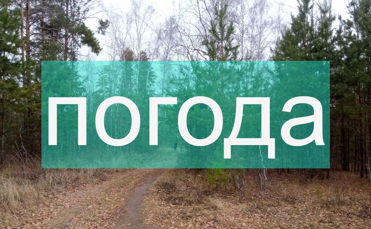 Погода на вторник 21 ноября