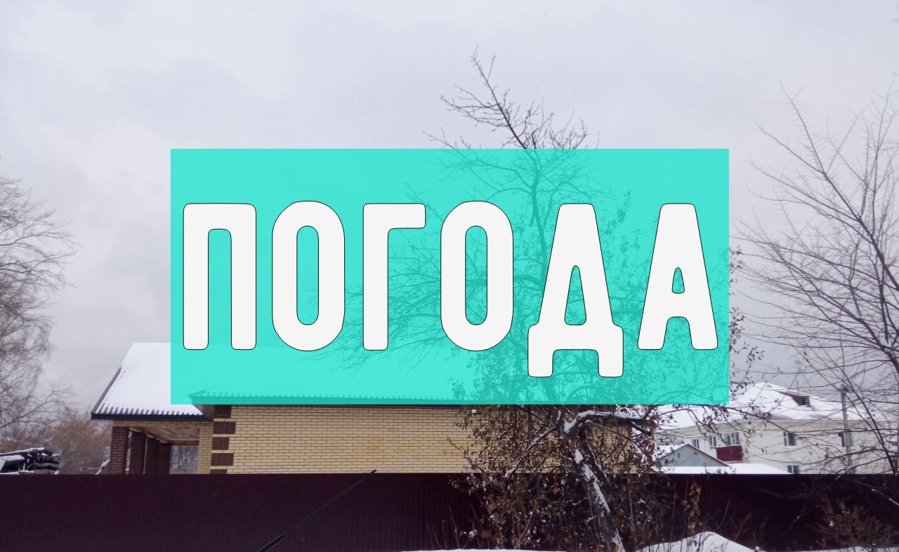 Погода на четверг 23 ноября