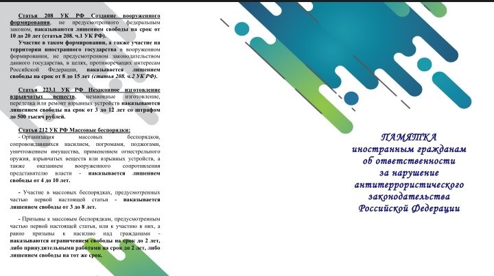 Негативная сущность этнической преступности
