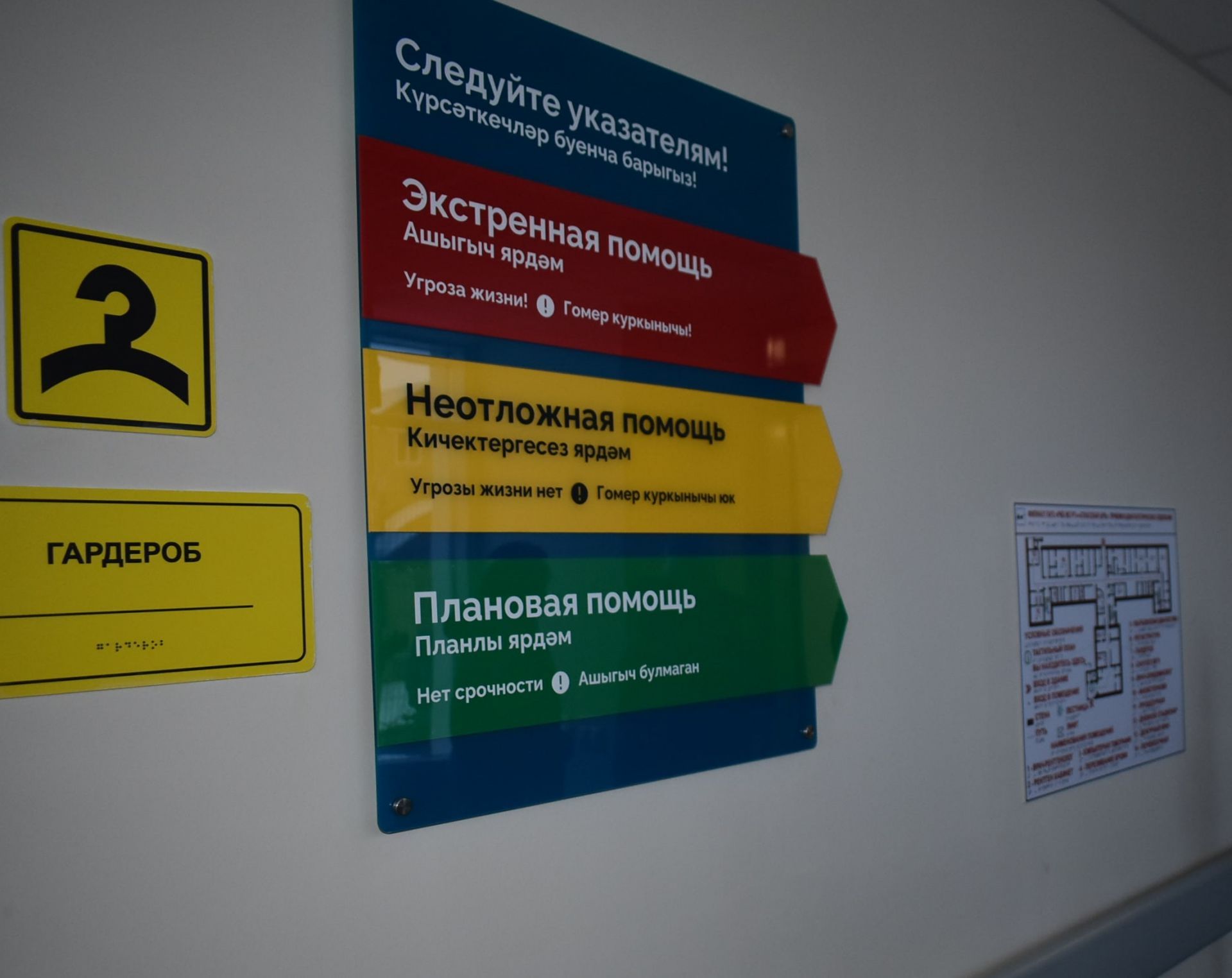 Врачи Спасской ЦРБ спасли пациента с тяжёлой стадией мышиной лихорадки
