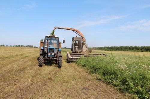 В Спасском районе полным ходом идёт уборка кормов