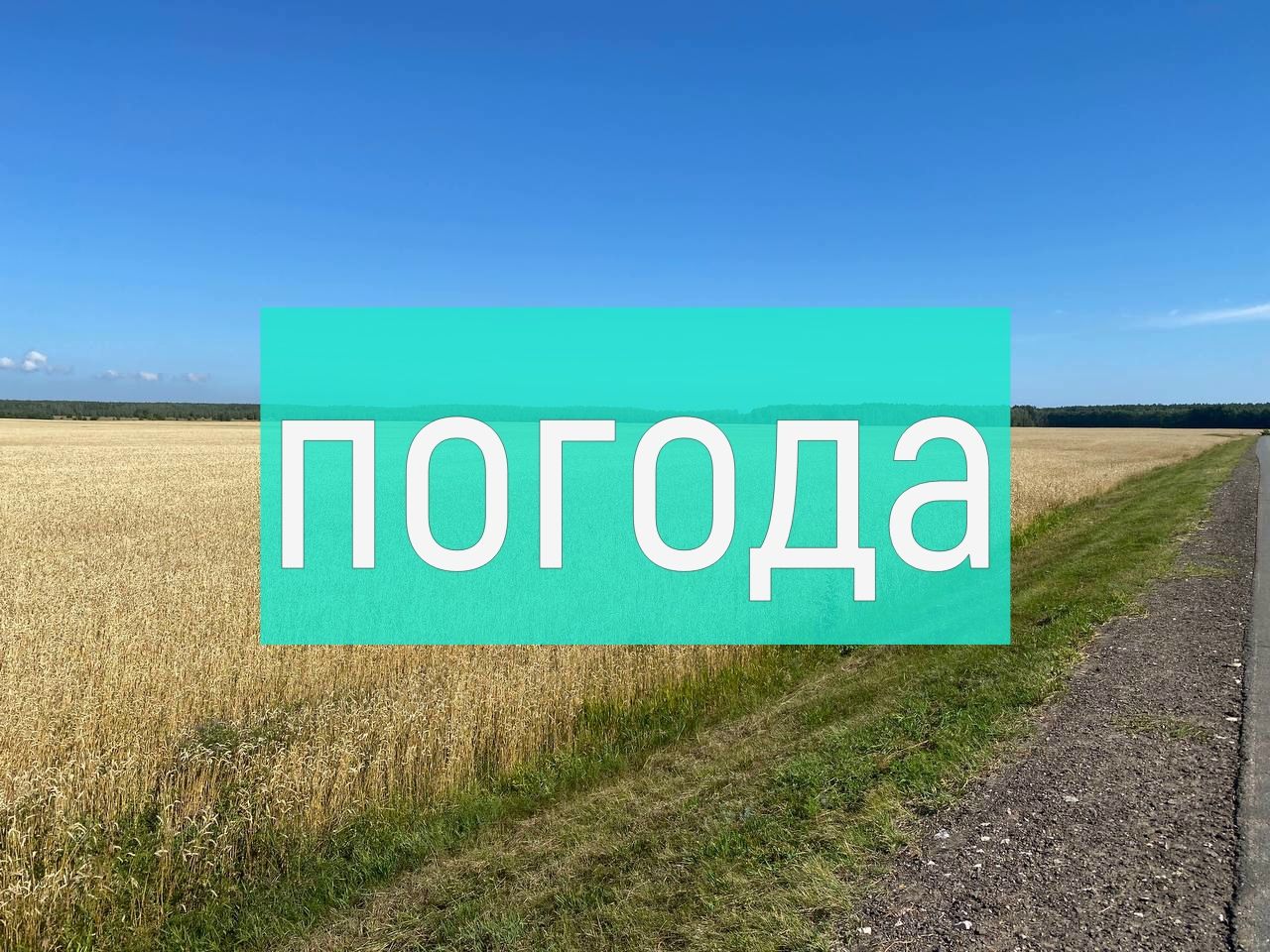 Погода на вторник 15 августа
