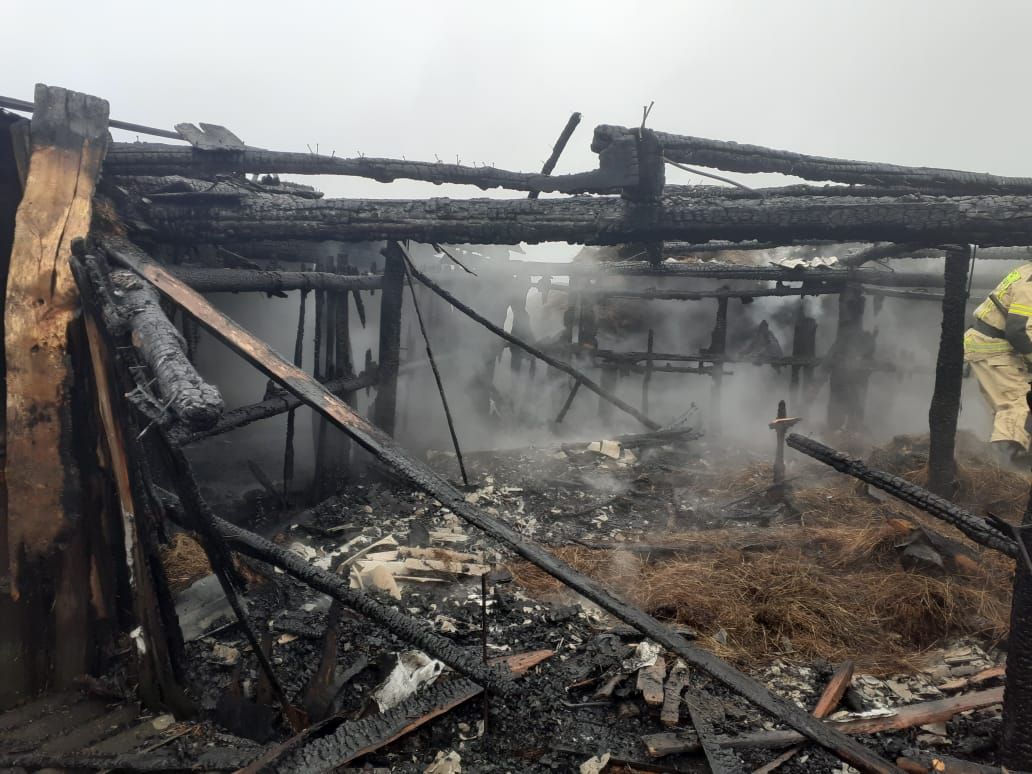 В Спасском районе сгорели сараи и запасённое на зиму сено