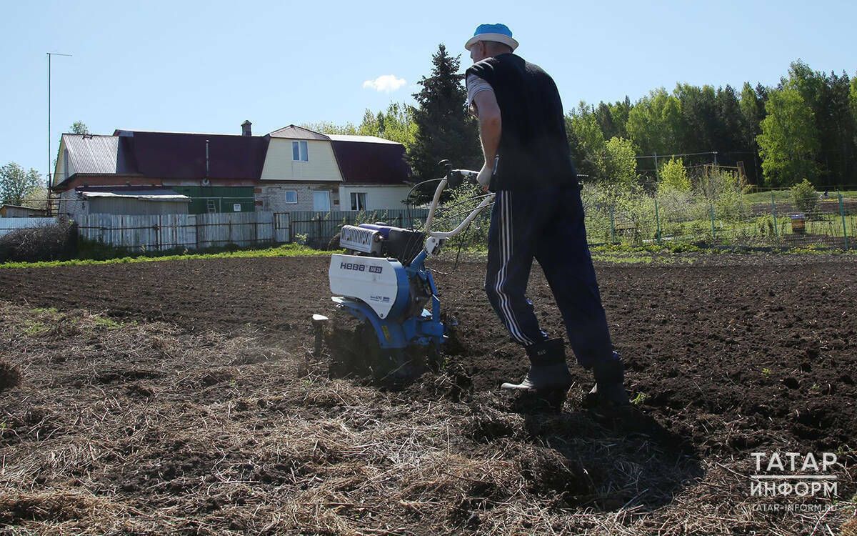 На приведение земель в надлежащий вид владельцам дают три года