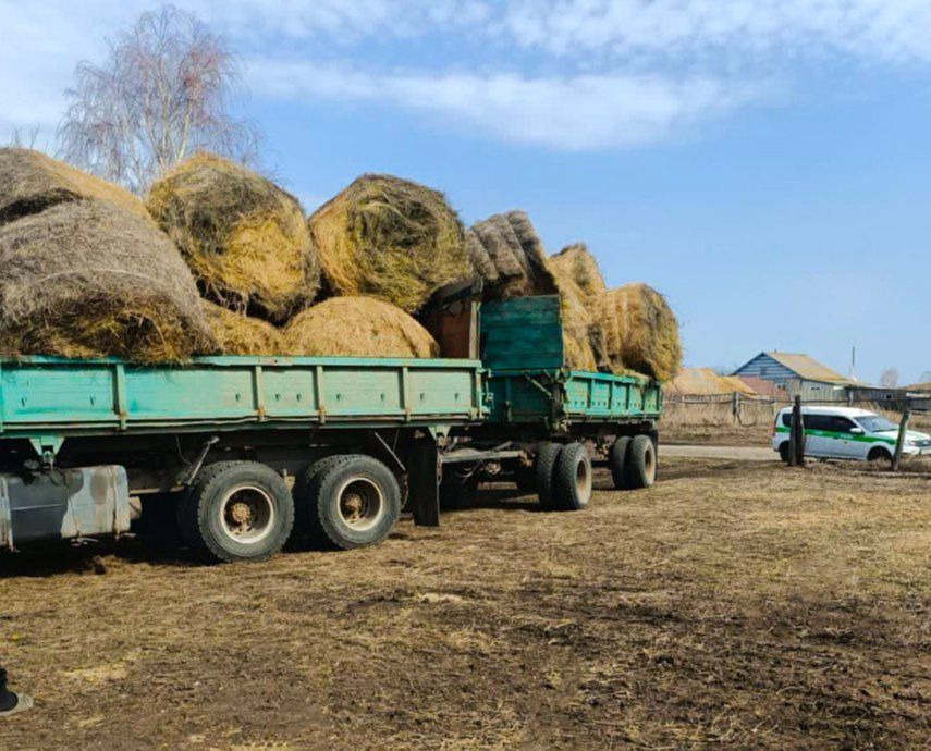 Жителю Спасского района пришлось отдать 6 тонн сена для погашения долга