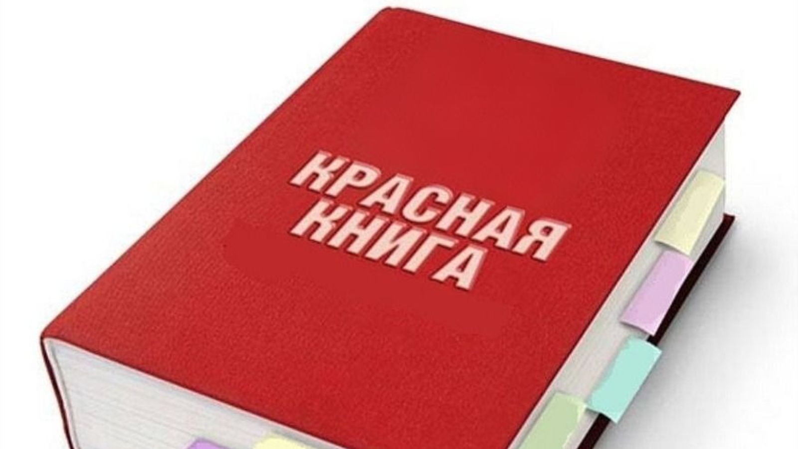 В Татарстане выйдет уникальная Красная книга на двух языках