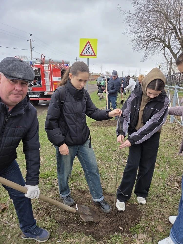 В Болгаре высадили деревья в память о жертвах Чернобыльской катастрофы