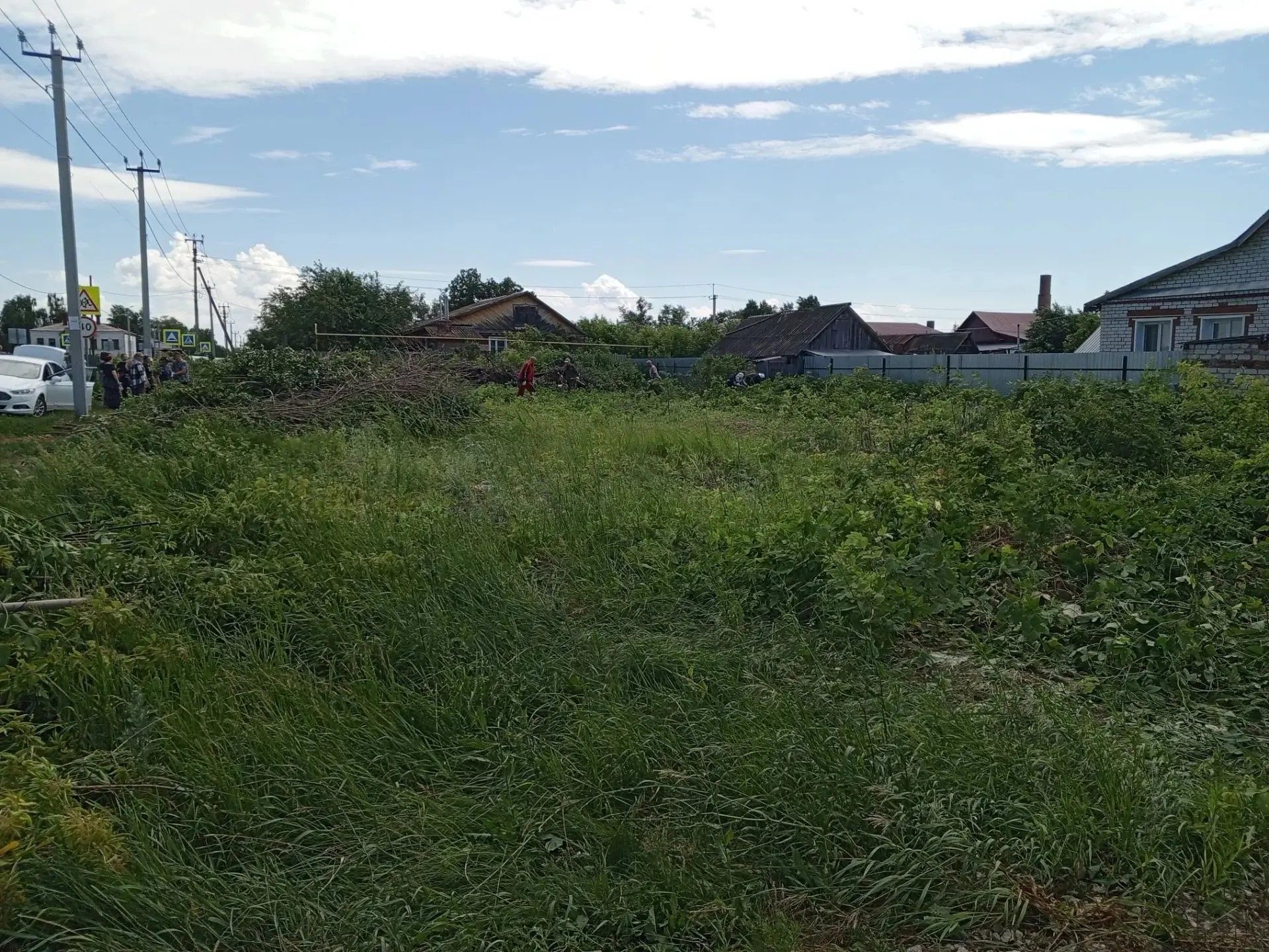 В Болгаре расчистили территорию от американского клёна