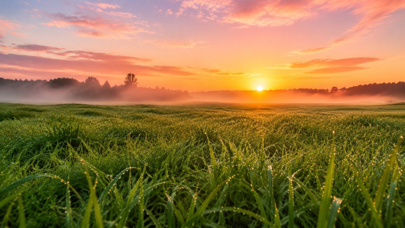 1 июля - Ярилин день: что разрешено и что запрещается делать