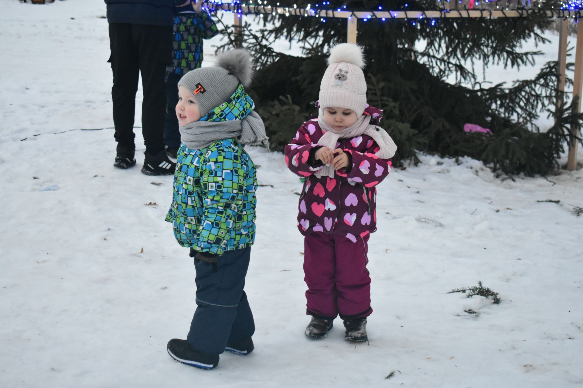 В парке «Дубки» прошла «Новогодняя тусовка»