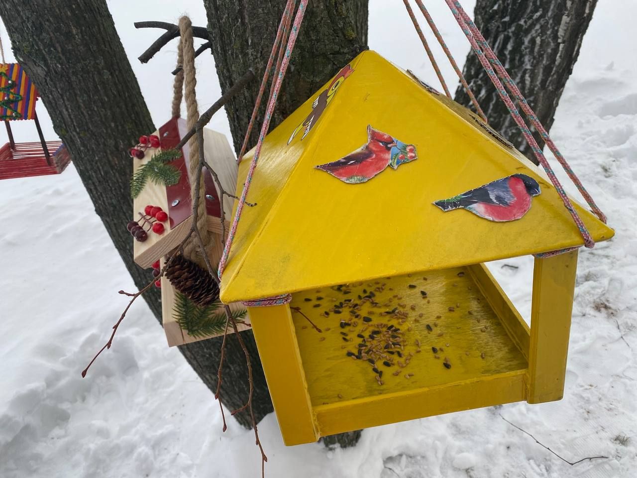 Воспитанники детского сада "Колосок" установили кормушки для птиц