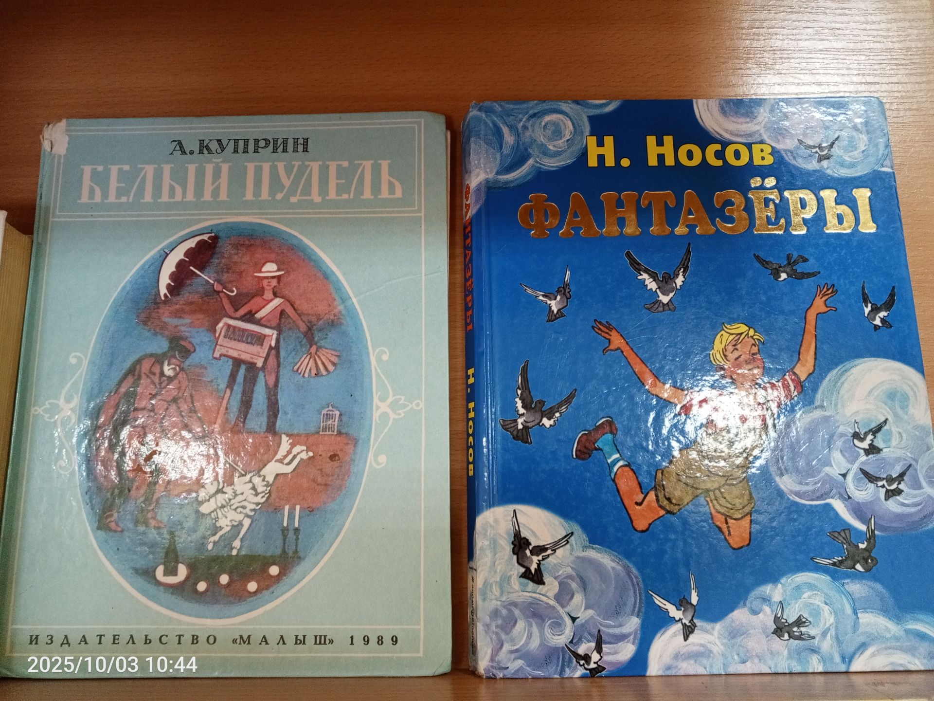 В детской библиотеке Болгара открылись новые тематические книжные выставки