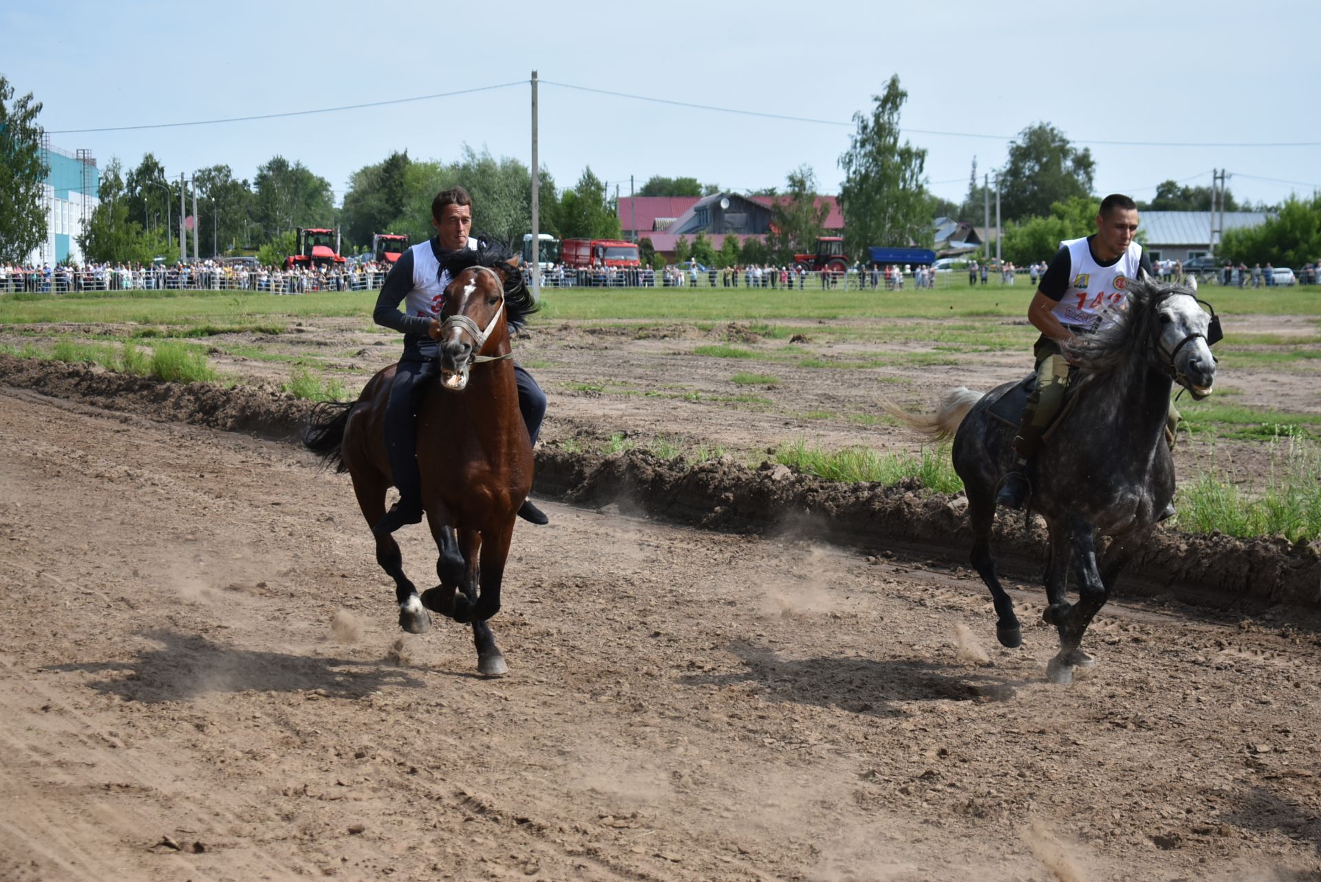 Конные скачки