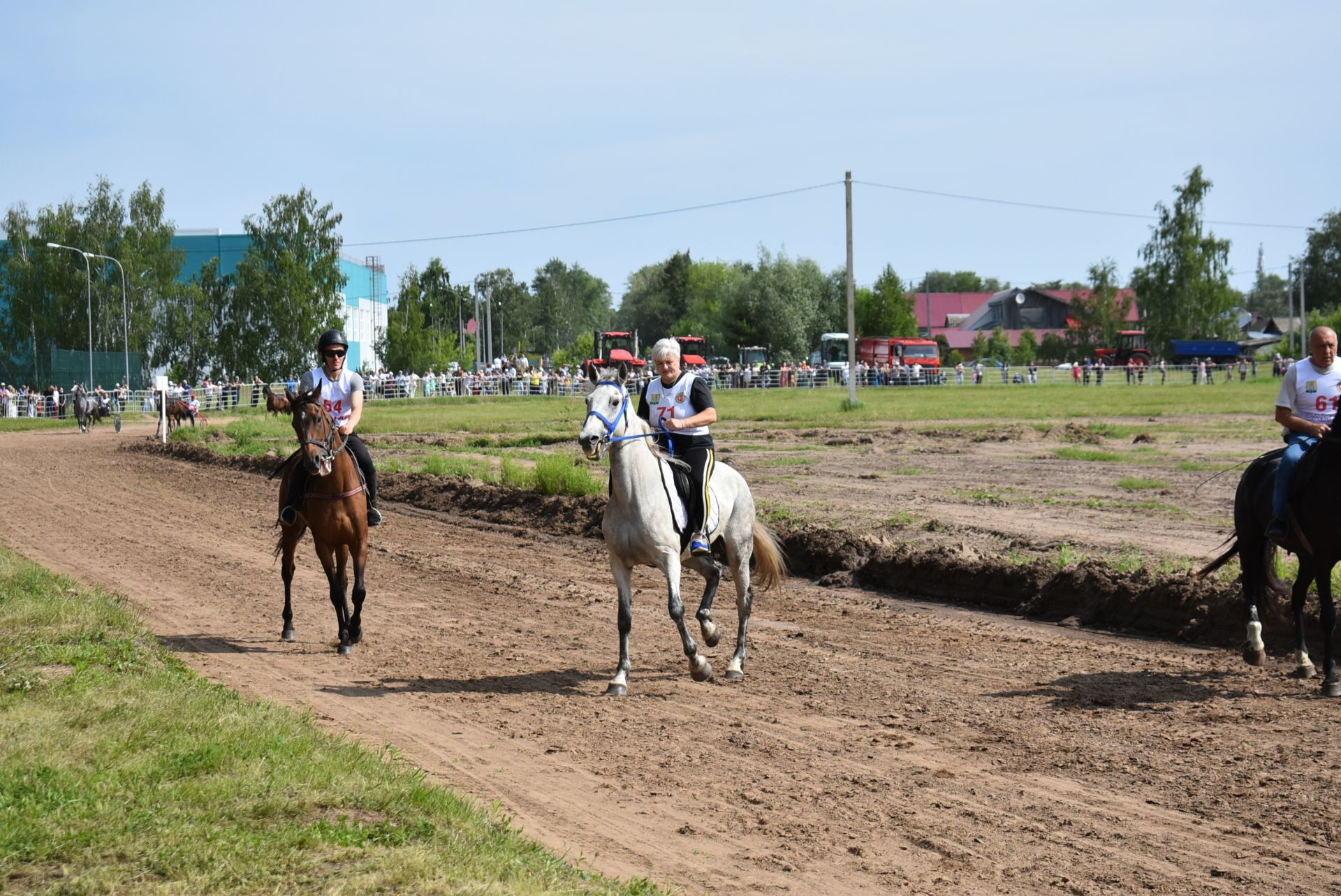 Конные скачки