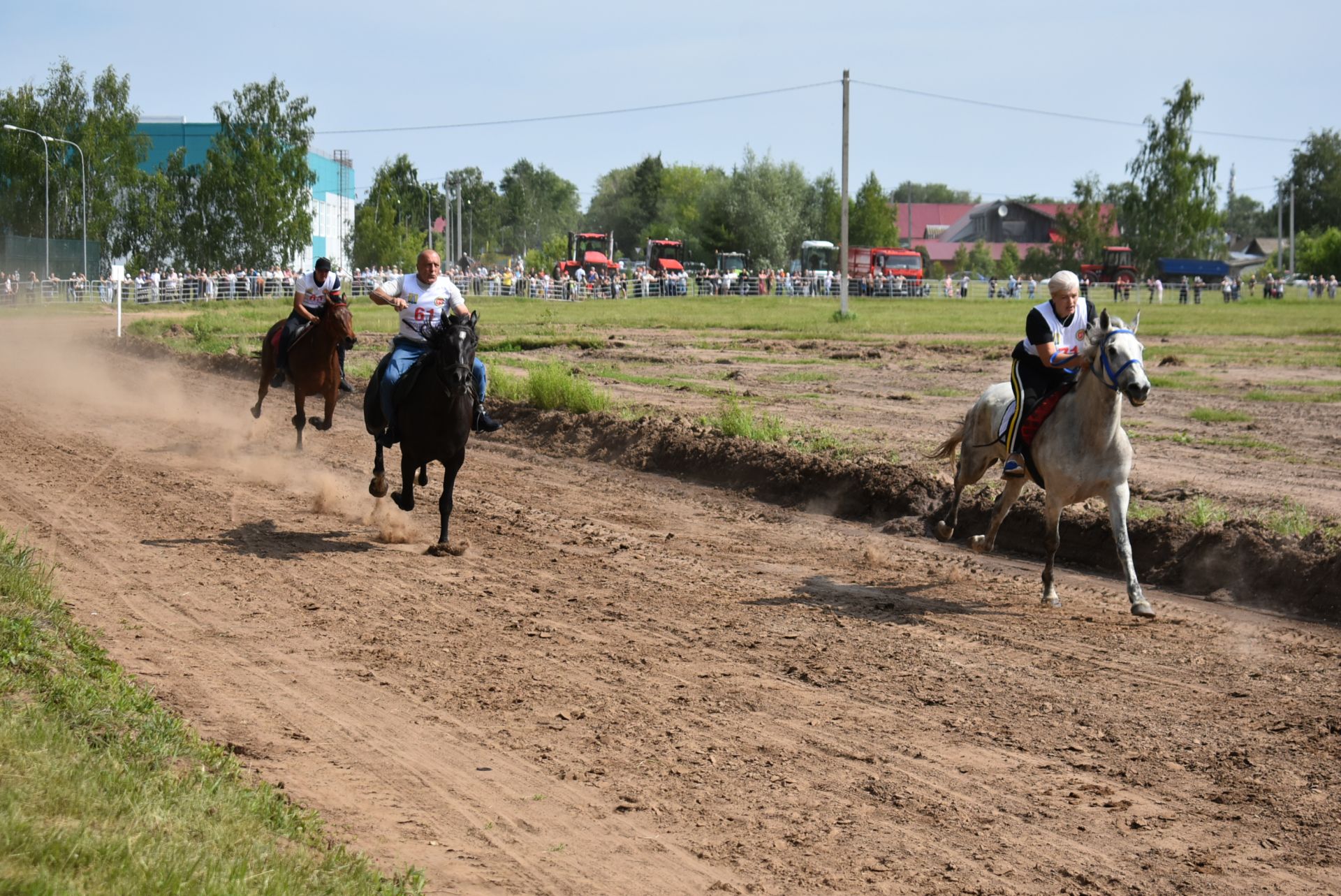 Конные скачки