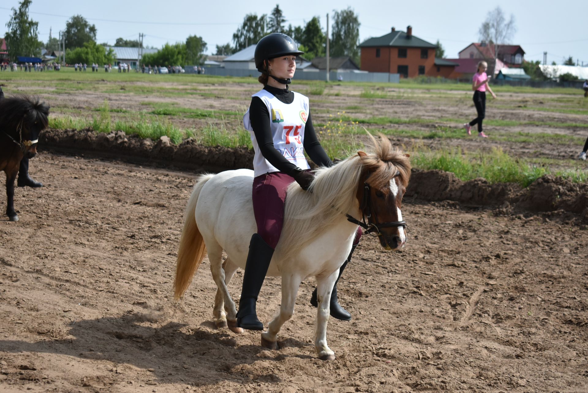 Конные скачки
