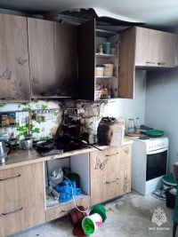 В Башкирии пять голодных кошек чуть не подожгли квартиру