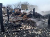 В Спасском районе Татарстана из-за пожара владелица осталась без хозпостроек и домашней птицы