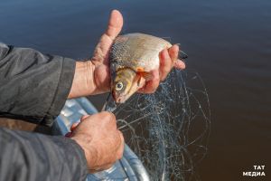 В Татарстане введён запрет на промышленное рыболовство
