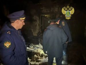В Татарстане при пожаре погибла 14-летняя девочка