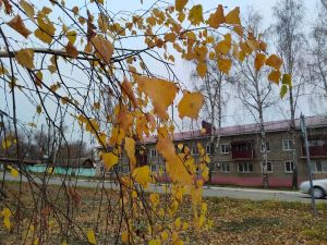 От заморозков до бабьего лета: прогноз погоды для Татарстана на неделю