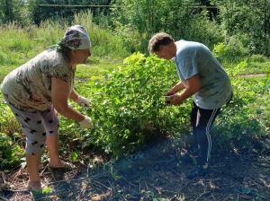 В Антоновке Спасского района благоустроили территорию у обелиска