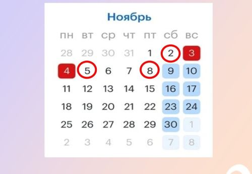 График выплаты пособий семьям с детьми в ноябре 2024 года в Республике Татарстан
