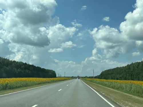 Расстояния от Болгара до крупных городов