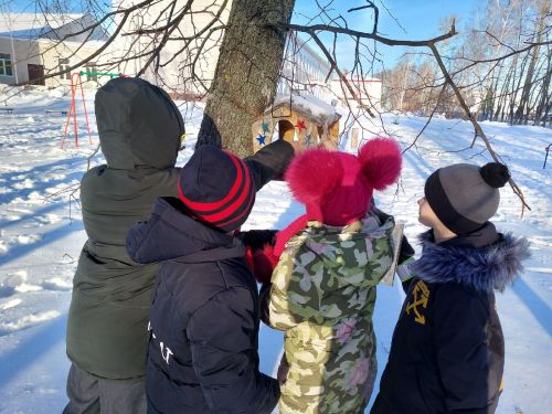 Ученики Болгарской санаторной школы-интерната приняли участие в акции «Покорми птиц зимой»