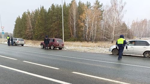 В ходе операции «Тоннель» спасские госавтоинспекторы проверили 56 автомобилей